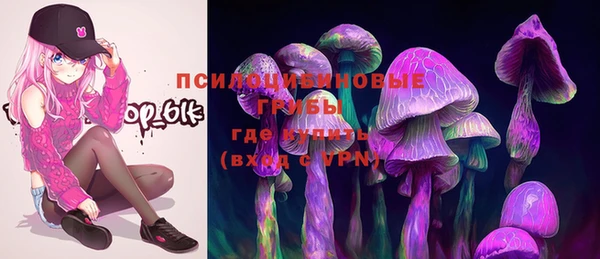 хмурый Алексеевка