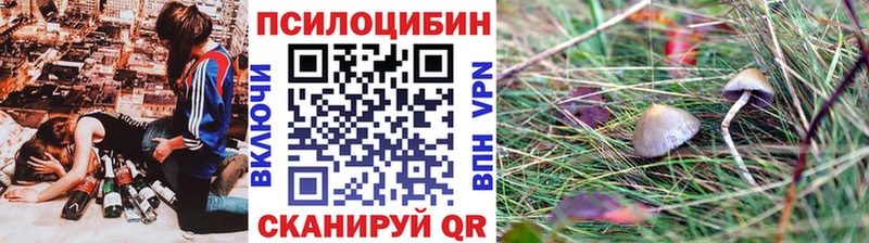 купить наркотики сайты  Калязин  kraken зеркало  Галлюциногенные грибы Cubensis 